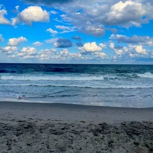 Meet your Posher, Luna